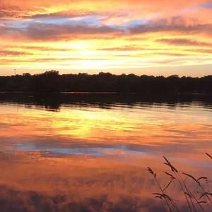 Meet your Posher, Cole